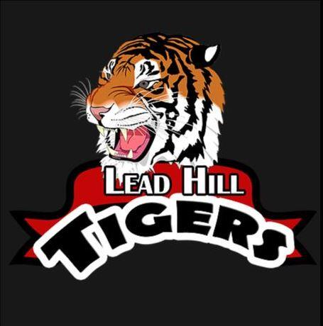 Lead Hill School District logo